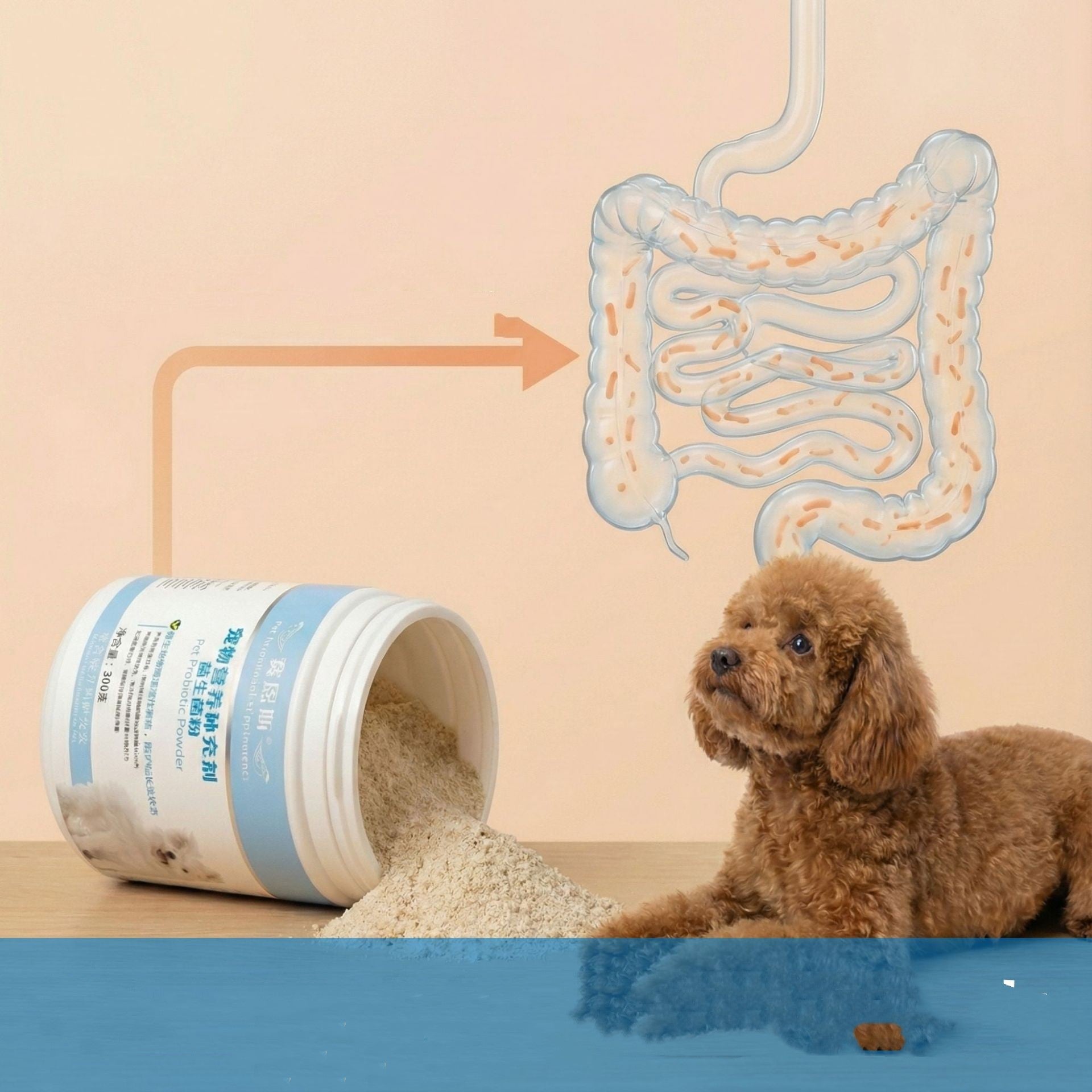 Why Your Dog Deserves the Best Gut Health with Our Nutritional Supplements